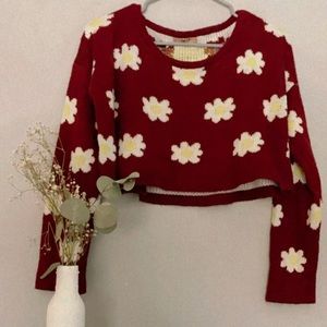 NEW cropped daisy sweater